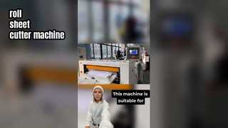 ZWC-1100D Taglierina automatica per fogli in rotoli Attrezzatura per il taglio della carta ad alta precisione per l'imballaggio